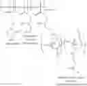 Fig. 30 - Hydroxyethylpyrrolidone ethacrylate/glycidyl ethacrylate copolymers