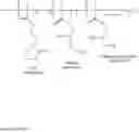 Fig. 62 - Hydroxyethylpyrrolidone ethacrylate/glycidyl ethacrylate copolymers