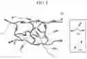 Fig. 02 - Supramolecular structure and method of manufacturing the same and self-healing elastomer