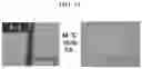 Fig. 12 - Supramolecular structure and method of manufacturing the same and self-healing elastomer