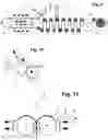 Fig. 05 - METHOD FOR PRODUCING FUNCTIONAL WATER SOLUBLE FILMS