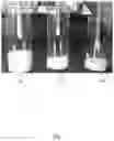 Fig. 02 - Insulation layer composition and insulation layer for plant tissue culture