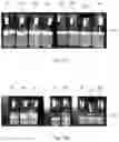Fig. 04 - Insulation layer composition and insulation layer for plant tissue culture
