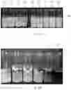 Fig. 07 - Insulation layer composition and insulation layer for plant tissue culture
