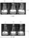 Fig. 12 - Insulation layer composition and insulation layer for plant tissue culture