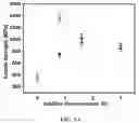 Fig. 06 - Additive for fiber strengthening