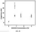 Fig. 08 - Additive for fiber strengthening