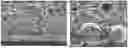 Fig. 01 - Plate-like composite material containing polytetrafluoroethylene and filler
