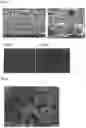 Fig. 02 - Plate-like composite material containing polytetrafluoroethylene and filler