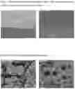 Fig. 06 - Polysaccharide suspension, method for its preparation, and use thereof