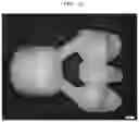 Fig. 12 - Burn-out dental modelling material