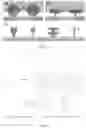 Fig. 02 - FLUORINE-FREE OIL REPELLENT COATING, METHODS OF MAKING SAME, AND USES OF SAME