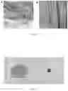 Fig. 05 - FLUORINE-FREE OIL REPELLENT COATING, METHODS OF MAKING SAME, AND USES OF SAME