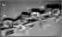 Fig. 01 - Flaky date fruit cap for moderate to severe loss control
