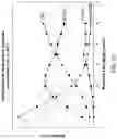 Fig. 22 - GTBE COMPOSITIONS, METHODS AND INSTALLATIONS FOR ENHANCED OCTANE BOOSTING