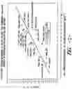 Fig. 02 - Whitening agents for cellulosic substrates
