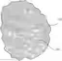 Fig. 01 - MULTI-LAYER CLEANING AND DISINFECTING WIPES HAVING OPTIMAL DELAMINATION BEHAVIOR WITH CLEANING LOTION