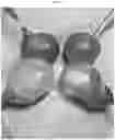 Fig. 03 - EDIBLE ALCOHOL-CONTAINING SPHERES