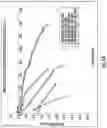 Fig. 06 - Tangential flow depth filtration systems and methods of filtration using same