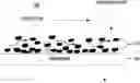 Fig. 01 - AUTOMATED CELL GROWTH AND/OR CONCENTRATION MODULES AS STAND-ALONE DEVICES OR FOR USE IN MULTI-MODULE CELL PROCESSING INSTRUMENTATION