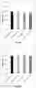Fig. 08 - Method for increasing the specific production rate of eukaryotic cells