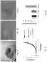 Fig. 04 - SYSTEMS AND METHODS FOR GROWING CELLS IN VITRO