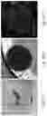 Fig. 14 - SYSTEMS AND METHODS FOR GROWING CELLS IN VITRO