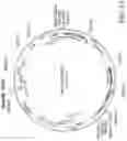 Fig. 15 - SYSTEMS AND METHODS FOR GROWING CELLS IN VITRO