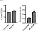 Fig. 05 - METHOD OF REDUCING CHROMOSOME SEGREGATION ERROR IN CELLS OF THE EARLY EMBRYO