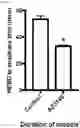 Fig. 07 - METHOD OF REDUCING CHROMOSOME SEGREGATION ERROR IN CELLS OF THE EARLY EMBRYO