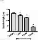 Fig. 12 - METHOD OF REDUCING CHROMOSOME SEGREGATION ERROR IN CELLS OF THE EARLY EMBRYO