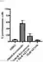 Fig. 15 - METHOD OF REDUCING CHROMOSOME SEGREGATION ERROR IN CELLS OF THE EARLY EMBRYO