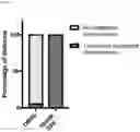 Fig. 19 - METHOD OF REDUCING CHROMOSOME SEGREGATION ERROR IN CELLS OF THE EARLY EMBRYO