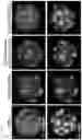 Fig. 23 - METHOD OF REDUCING CHROMOSOME SEGREGATION ERROR IN CELLS OF THE EARLY EMBRYO