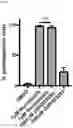 Fig. 24 - METHOD OF REDUCING CHROMOSOME SEGREGATION ERROR IN CELLS OF THE EARLY EMBRYO
