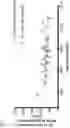 Fig. 34 - METHOD OF REDUCING CHROMOSOME SEGREGATION ERROR IN CELLS OF THE EARLY EMBRYO