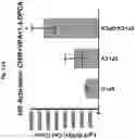 Fig. 19 - Compositions and methods for generating hair cells by upregulating JAG-1