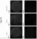 Fig. 29 - Compositions and methods for generating hair cells by upregulating JAG-1