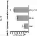 Fig. 33 - Compositions and methods for generating hair cells by upregulating JAG-1