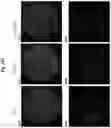 Fig. 34 - Compositions and methods for generating hair cells by upregulating JAG-1