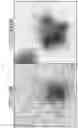 Fig. 05 - GENERATION OF HEMATOPOIETIC PROGENITOR CELLS FROM HUMAN PLURIPOTENT STEM CELLS