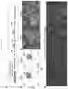 Fig. 06 - GENERATION OF HEMATOPOIETIC PROGENITOR CELLS FROM HUMAN PLURIPOTENT STEM CELLS