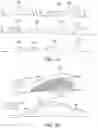 Fig. 22 - Three-dimensional printed organs, devices, and matrices