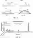 Fig. 23 - Three-dimensional printed organs, devices, and matrices