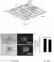 Fig. 26 - Three-dimensional printed organs, devices, and matrices