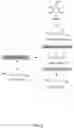 Fig. 04 - Process and microorganism for synthesis of adipic acid from carboxylic acids