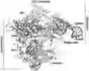 Fig. 01 - CRISPR-CAS SYSTEMS, CRYSTAL STRUCTURE AND USES THEREOF