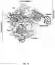 Fig. 02 - CRISPR-CAS SYSTEMS, CRYSTAL STRUCTURE AND USES THEREOF