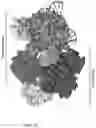Fig. 05 - CRISPR-CAS SYSTEMS, CRYSTAL STRUCTURE AND USES THEREOF