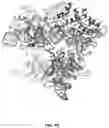 Fig. 06 - CRISPR-CAS SYSTEMS, CRYSTAL STRUCTURE AND USES THEREOF